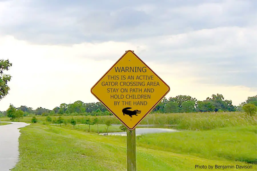Active alligator area sign