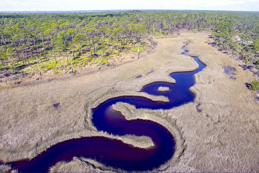 Meandering bayou winding it's way through swamp grass