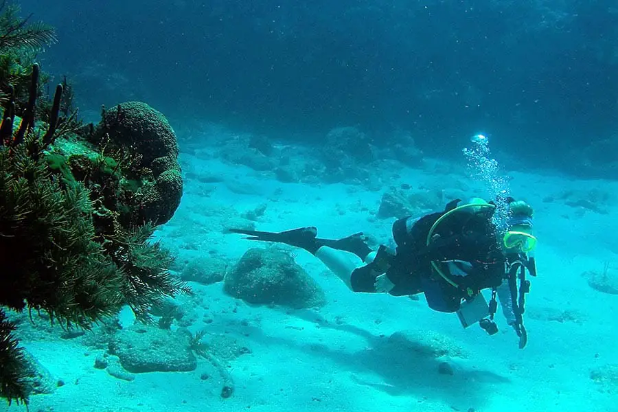 Scuba diver swimming in the Florida Keys
