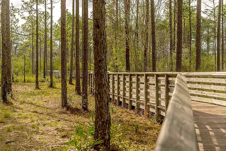 Wooden walkway at Tarkiln Bayou Preserve State Park