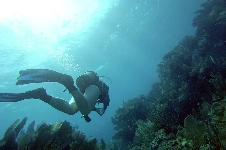 Scuba diver exploring natural coral reefs at Key Largo