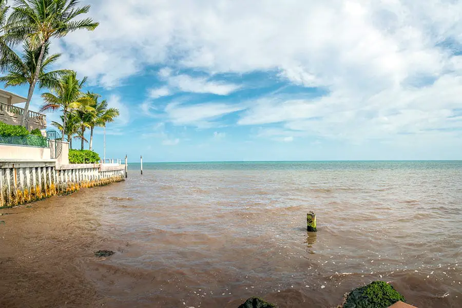 Discolored water caused by harmful algal bloom