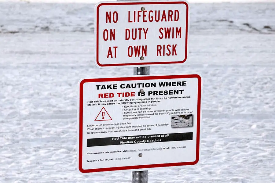 No lifeguard on duty and red tide warning sign