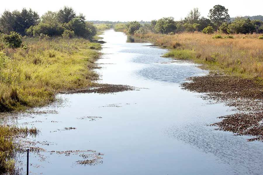 Zipper Canal, Lake Kissimmee State Park