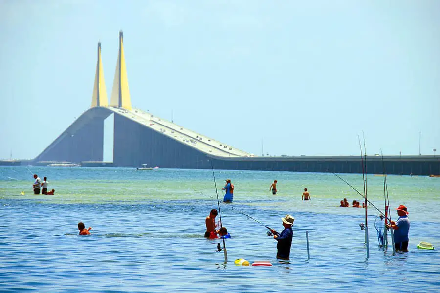 Fishermen and swimmers in the bay, Sunshine Skyway Bridge in background