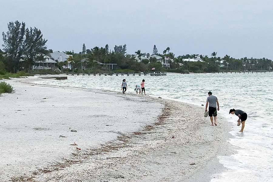 People on beach after storm searching for shells