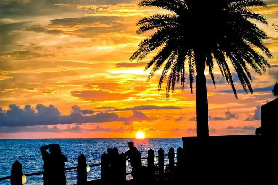 Silhouette of people and palm tree as the sun sets