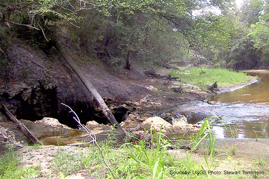 The Alapaha River, a tributary of the Suwannee River flowing into a sink hole