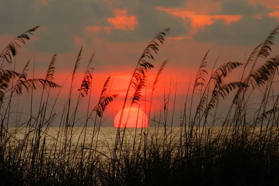 Stunning orange sunset as the sun slips below the ocean horizon