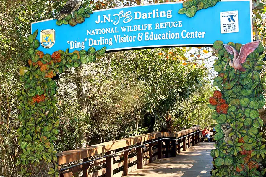 Wooden walkway at J.N. "Ding" Darling National Wildlife Refuge