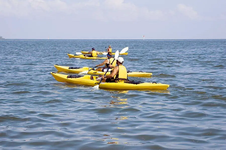 Four people in yellow kayaks paddling in the Gulf of Mexico