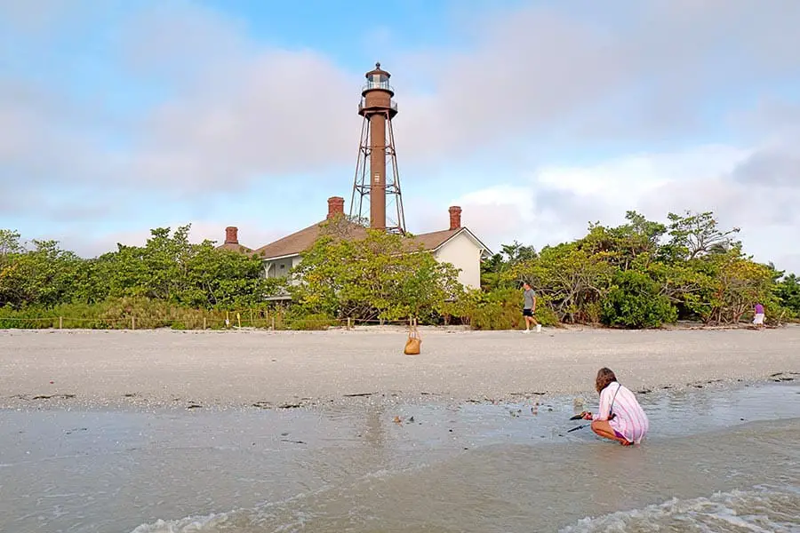 Sheller searching the beach with Point Ybel Light in background