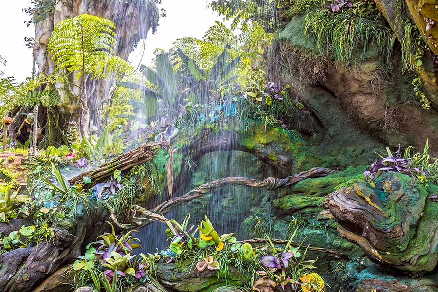 The mythical jungle forest on Pandora, from the movie Avatar