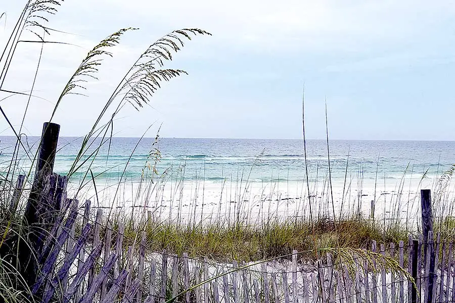 Wooden sand fence used to prevent beach erosion