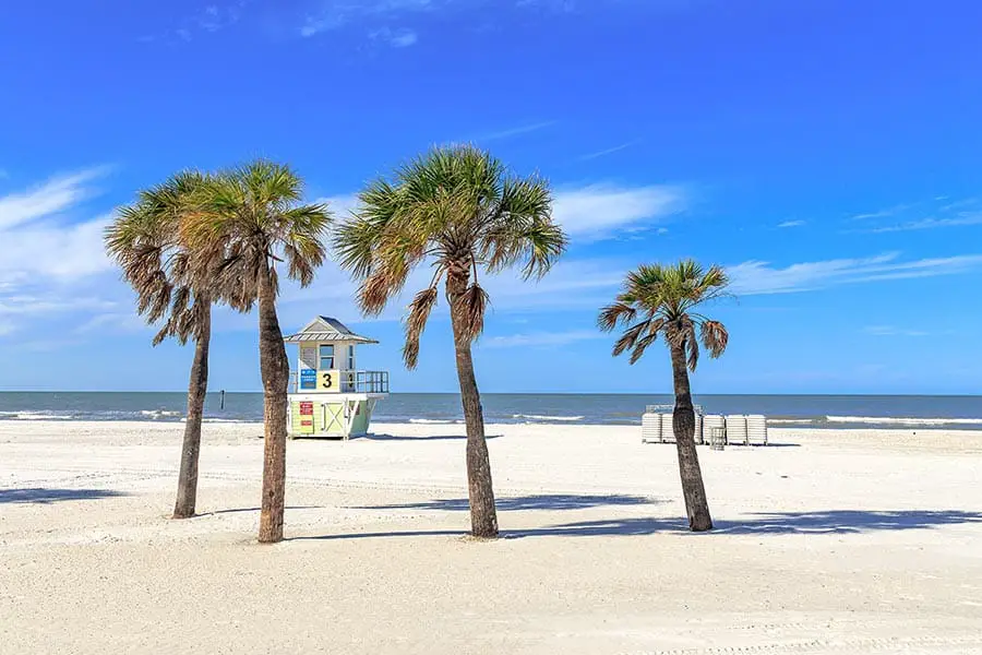 Palm trees and lifeguard hut on sandy beach