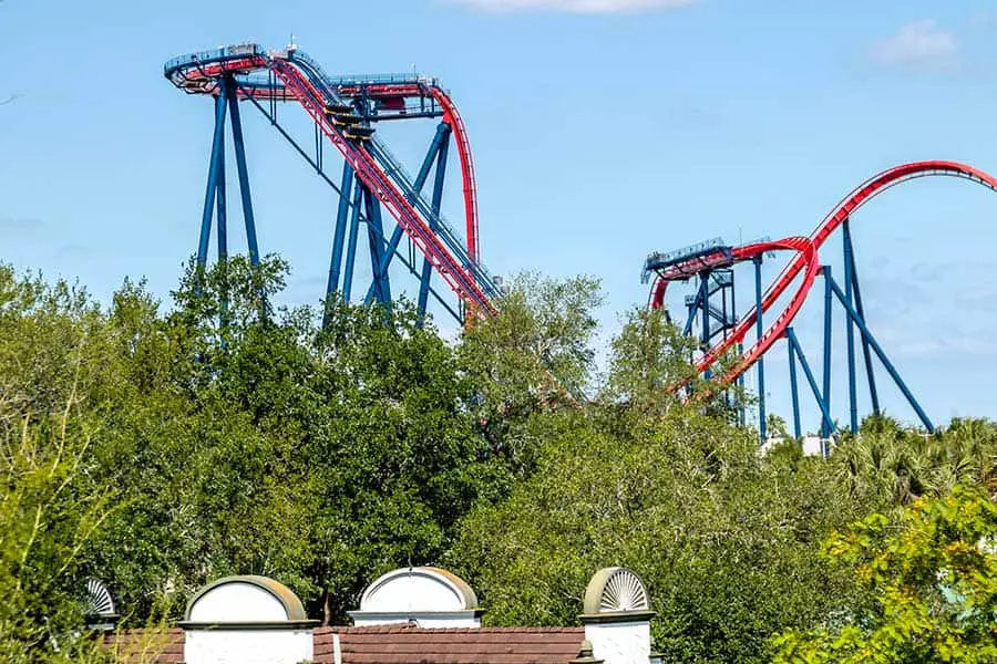 Roller coaster seen above trees at Busch Gardens Florida