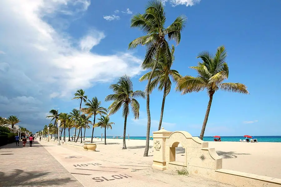 People walking along palm tree lined beach in Hollywood, Florida