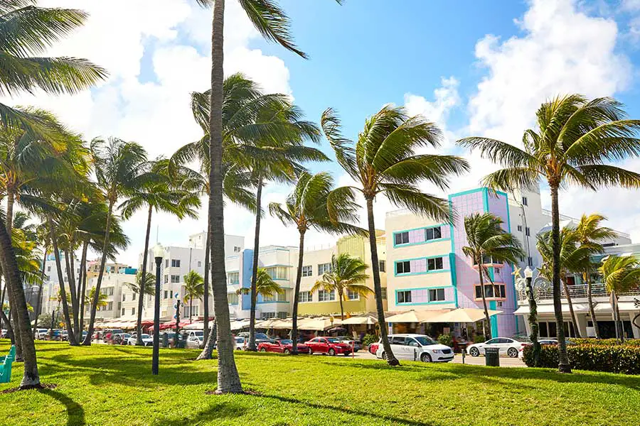 Art Deco buildings in Miami, viewed through palm trees