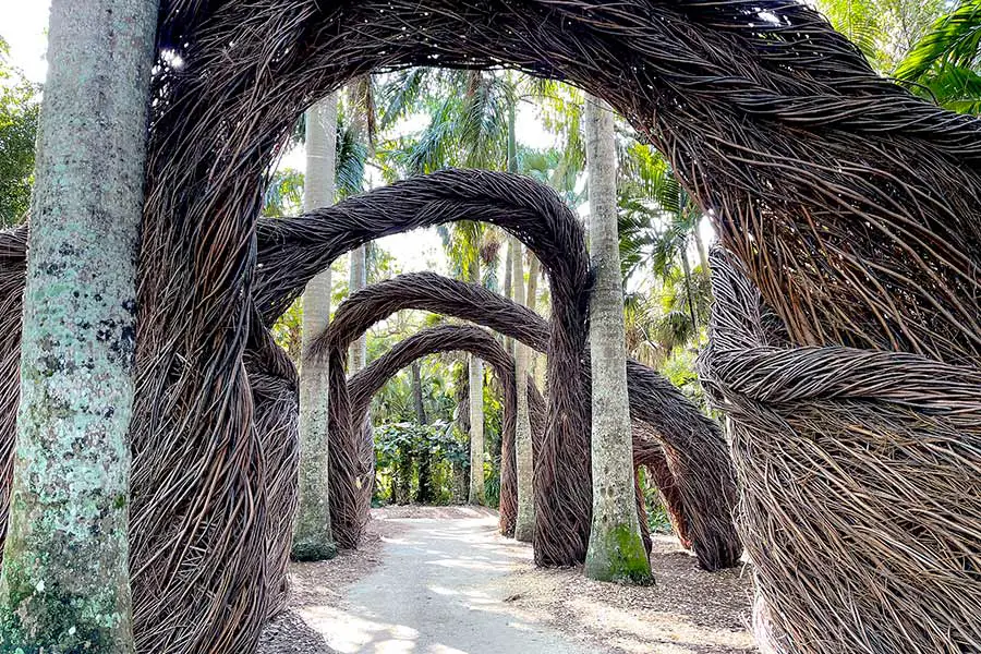 Twig arches over pathway at botanical garden
