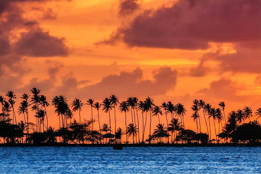 Orange sunset silhouettes palm trees and blue Caribbean sea