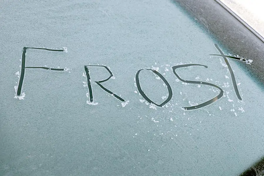 Someone wrote the word frost on icy car window
