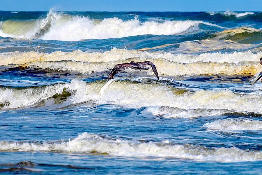 Rough surf at New Smyrna Beach, Florida