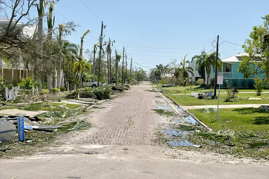 Limbs and leaves ripped from trees, debris blown onto street